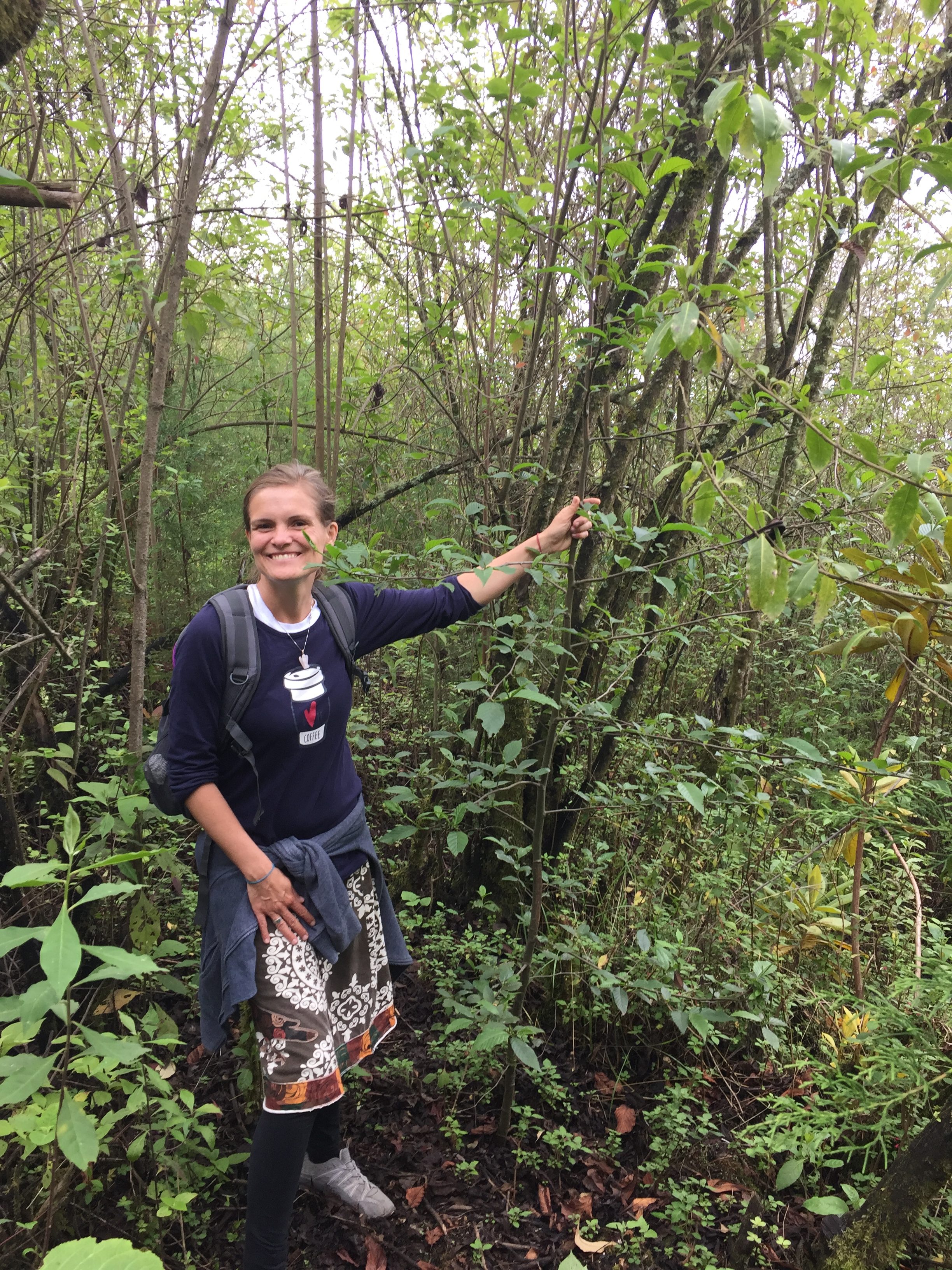 Reforestation in Western Highlands of Guatemala with Yabal