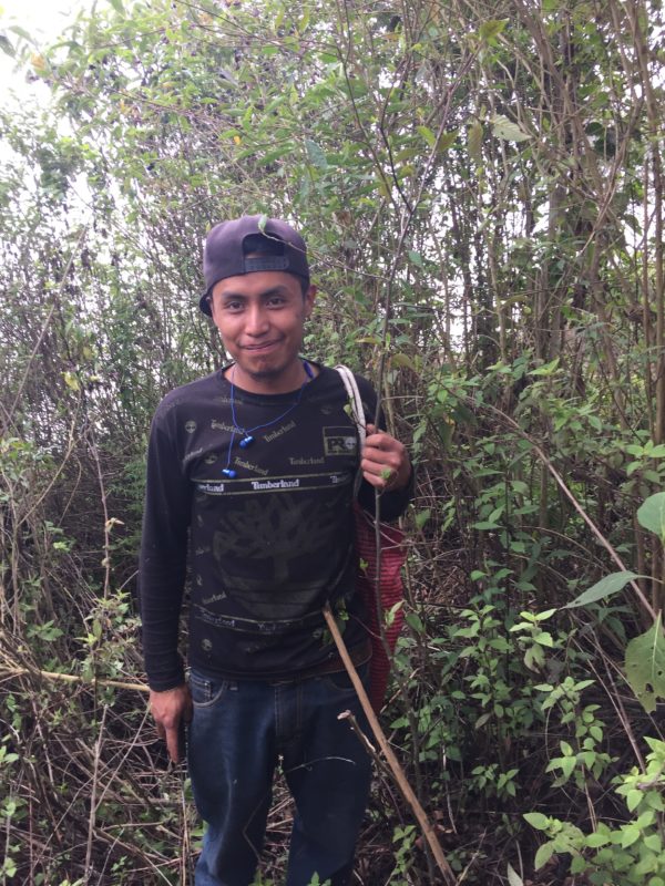 Planting trees in guatemala with Yabal fair trade organization