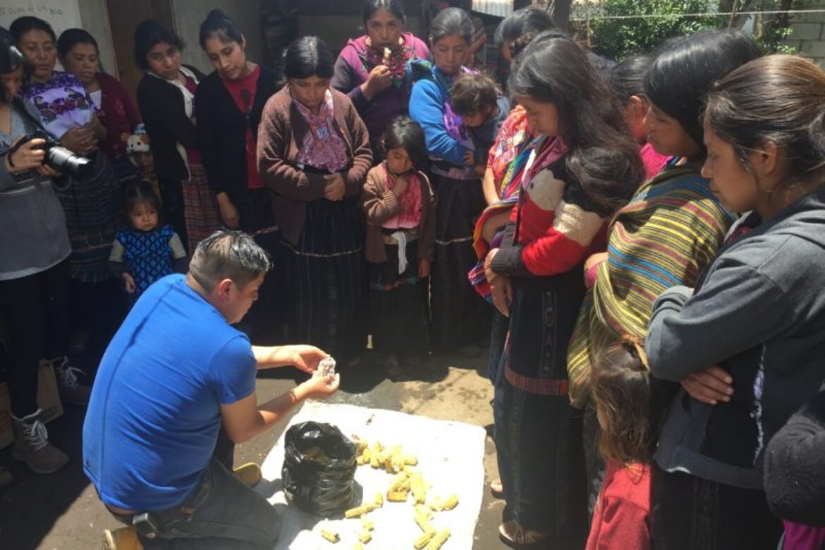 Mushrooms and Weaving?