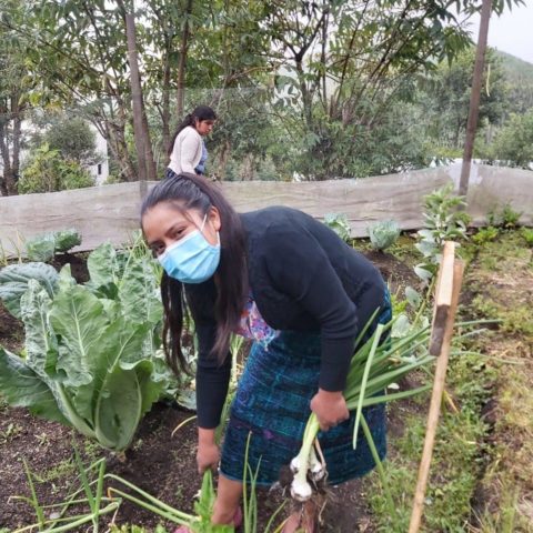womens garden guatemala